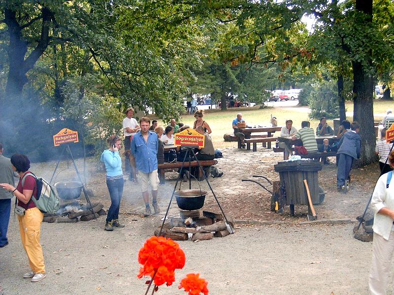 szate 2011.09.17 (148).jpg
